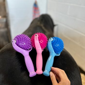 Epiony Spiky Massage Ball